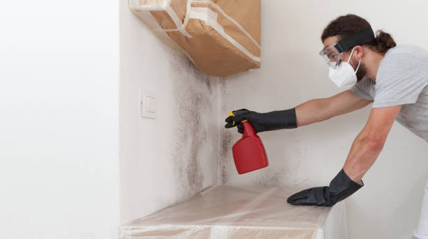 Professional Bathroom Mold Removal technician working in Rockville, MN