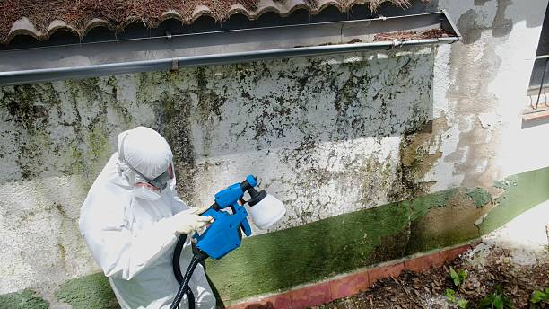 Top rated local Bathroom Mold Removal specialists in Rockville, MN